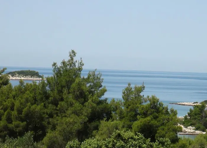 Vesna * 벨라루카