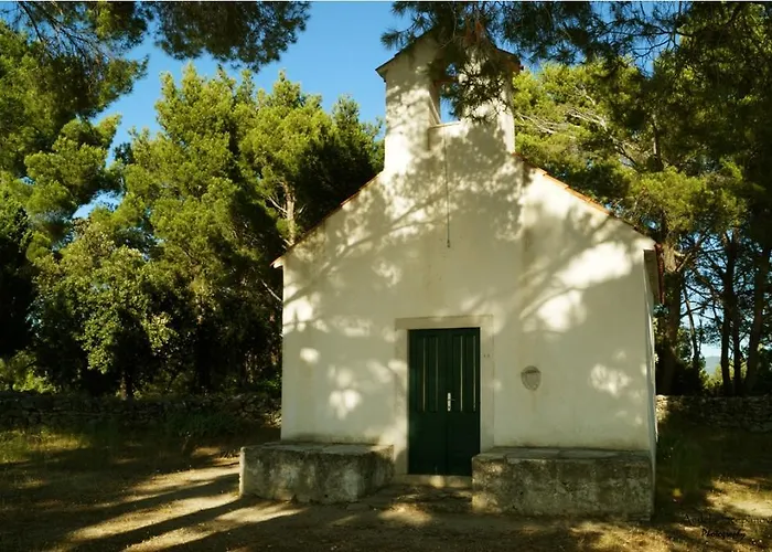 Vesna * 尼亚卢卡